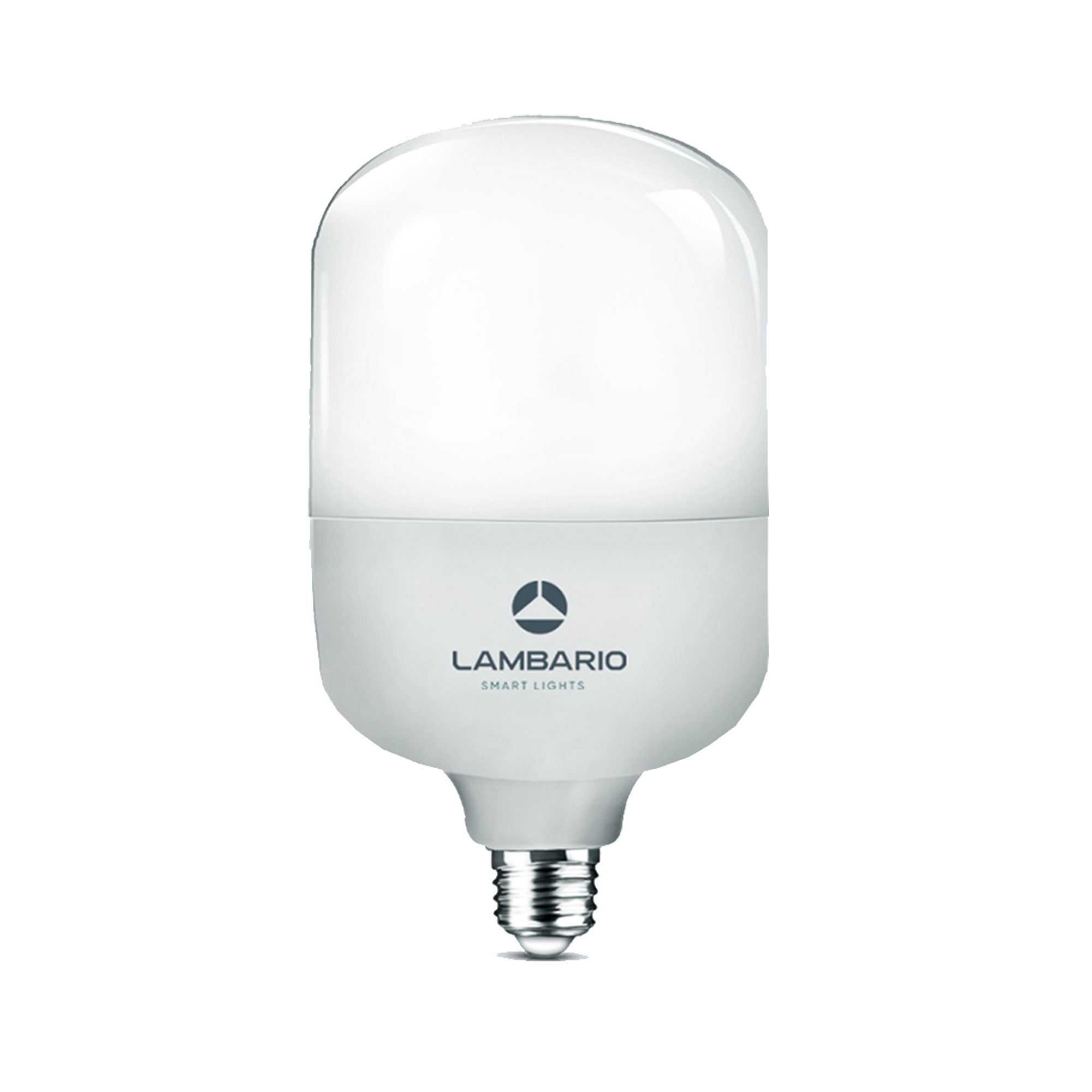 UN17376 LED E-27 17-20W T80 6400K Lambario